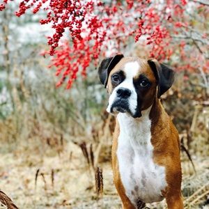 Meet your Posher, Christy